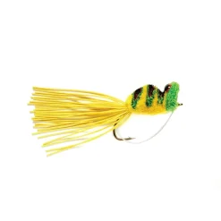 Shop All^ Dancing Frog Green - Your Premium Fishing Gear Store Rods Lines Baits Accessories
