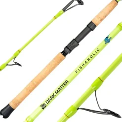 Fishing Line^ Dark Matter Fishaholic Inshore Spinning Rods - Your Premium Fishing Gear Store Rods Lines Baits Accessories