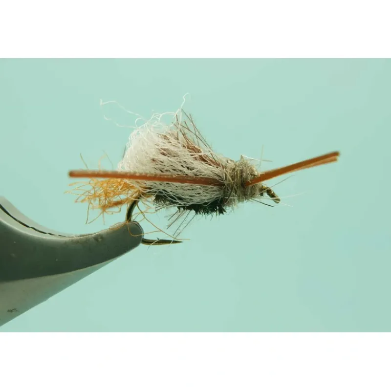 Shop All^ Delektable Halo Peace - Your Premium Fishing Gear Store Rods Lines Baits Accessories