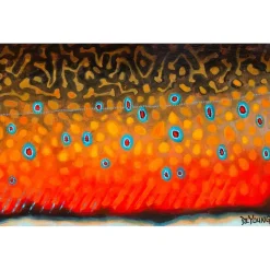 Shop All^ DeYoung Brook Trout Flank October Canvas Print - Your Premium Fishing Gear Store Rods Lines Baits Accessories