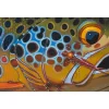 Shop All^ Deyoung Brown Trout Rubberlegs Canvas Print 36x24" - Your Premium Fishing Gear Store Rods Lines Baits Accessories
