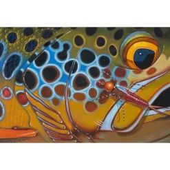 Shop All^ Deyoung Brown Trout Rubberlegs Canvas Print 36x24" - Your Premium Fishing Gear Store Rods Lines Baits Accessories