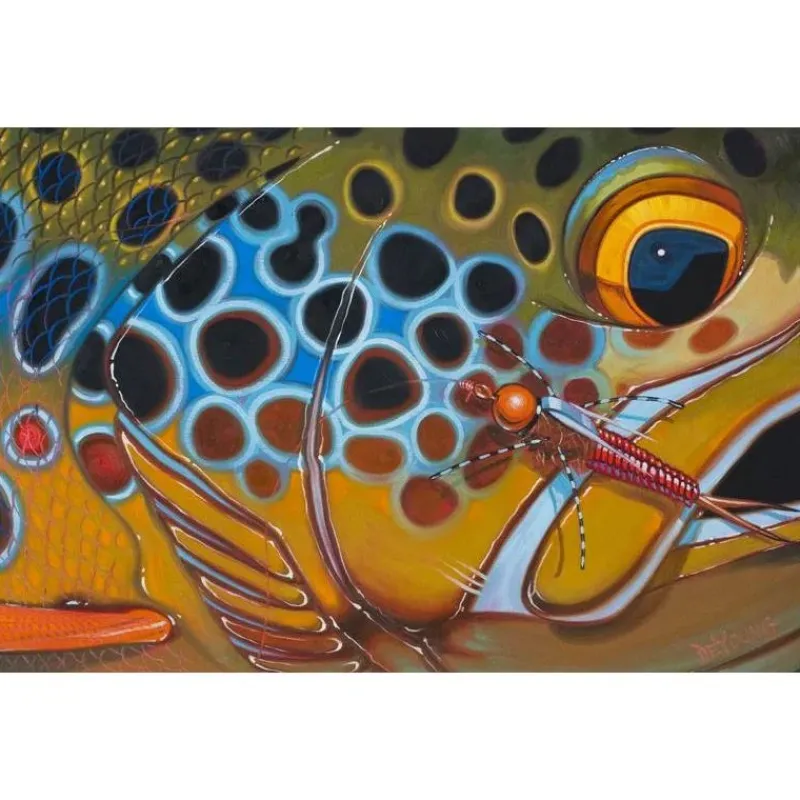 Shop All^ Deyoung Brown Trout Rubberlegs Canvas Print 36x24" - Your Premium Fishing Gear Store Rods Lines Baits Accessories