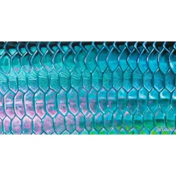 Shop All^ DeYoung Tarpon Flank Emerald Canvas Print - Your Premium Fishing Gear Store Rods Lines Baits Accessories