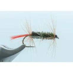 Shop All^ Double Renegade #10 - Your Premium Fishing Gear Store Rods Lines Baits Accessories