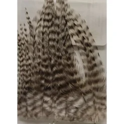 Fly Fishing^ Dry Fly Neck Hackle Mini Pack - Your Premium Fishing Gear Store Rods Lines Baits Accessories