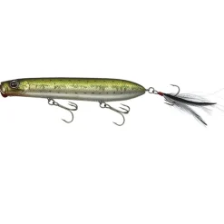 Bait^ Evergreen Shower Blows 5 7/8" Topwater Pencil Popper - Your Premium Fishing Gear Store Rods Lines Baits Accessories