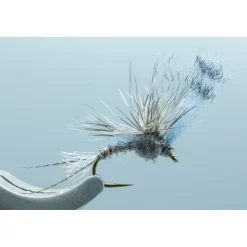 Fly Fishing^ Film Critic Calli. #14 - Your Premium Fishing Gear Store Rods Lines Baits Accessories