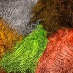 Shop All^ Fine Barred Buggerbou - Your Premium Fishing Gear Store Rods Lines Baits Accessories