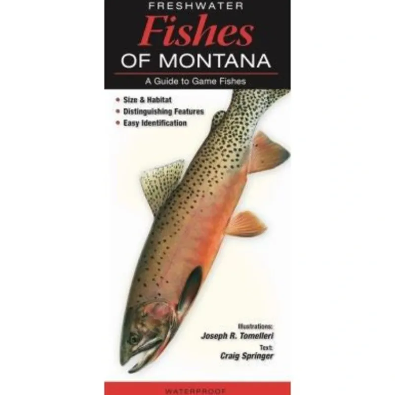 Shop All^ Fishes Quick Reference Guides - Your Premium Fishing Gear Store Rods Lines Baits Accessories