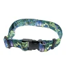 Shop All^ FisheWear Totally Tarpon Wading Belt - Your Premium Fishing Gear Store Rods Lines Baits Accessories