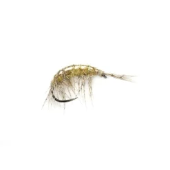 Shop All^ Freshwater Shrimp (OE) Barbless - Your Premium Fishing Gear Store Rods Lines Baits Accessories
