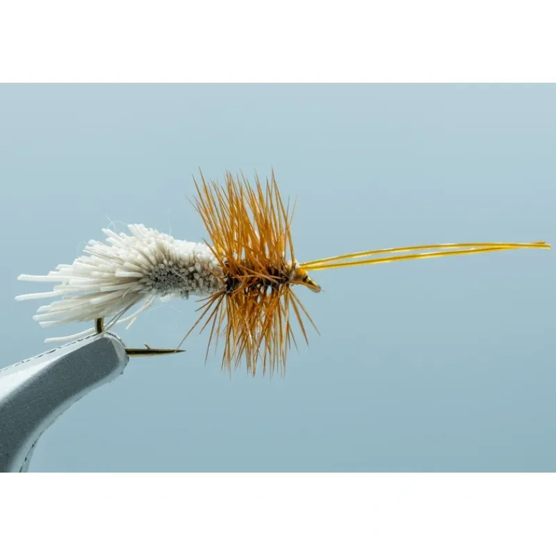 Shop All^ Goddard Caddis #16 1 Doz. - Your Premium Fishing Gear Store Rods Lines Baits Accessories