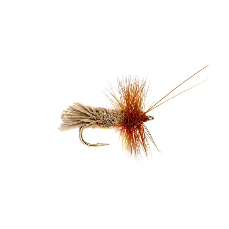 Shop All^ Goddard Caddis Amber - Your Premium Fishing Gear Store Rods Lines Baits Accessories