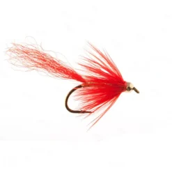 Fly Fishing^ Gold Comet - Your Premium Fishing Gear Store Rods Lines Baits Accessories