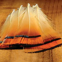 Shop All^ Golden Pheasant Tippet - Your Premium Fishing Gear Store Rods Lines Baits Accessories