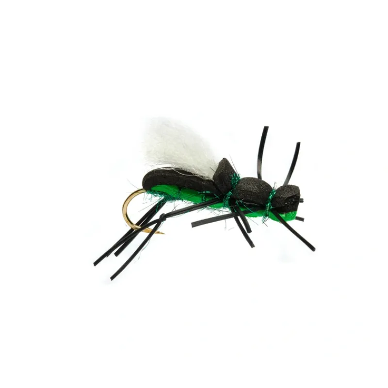 Shop All^ Gordo Alberto Black & Green - Your Premium Fishing Gear Store Rods Lines Baits Accessories