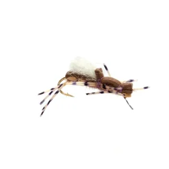 Shop All^ Gordo Alberto Duracell Brown - Your Premium Fishing Gear Store Rods Lines Baits Accessories