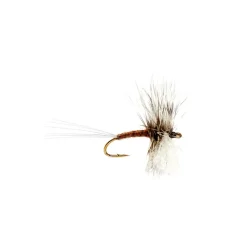Fly Fishing^ Gray Drake Hackle Spinner - Your Premium Fishing Gear Store Rods Lines Baits Accessories