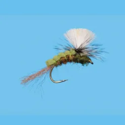 Fly Fishing^ Green Drake Sir Francis - Your Premium Fishing Gear Store Rods Lines Baits Accessories