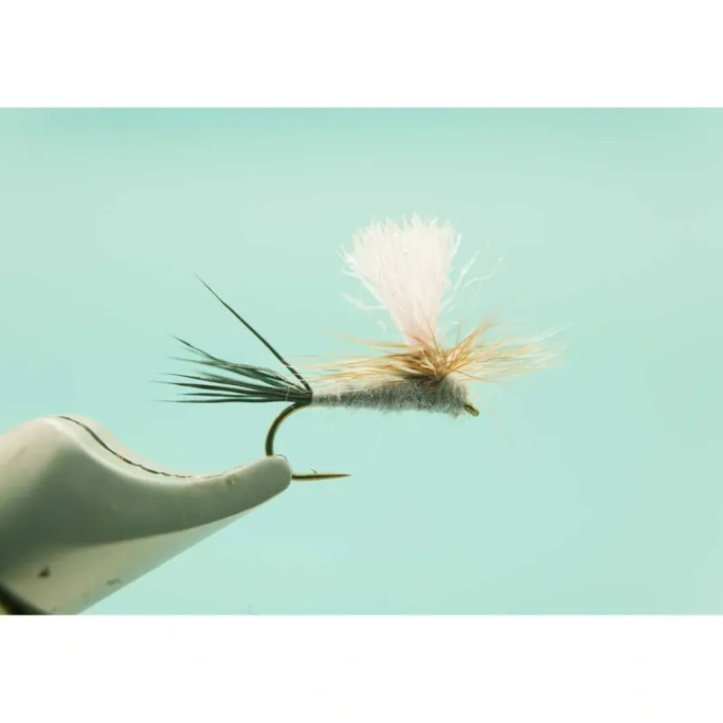 Shop All^ Guide Chute Adams #14 - Your Premium Fishing Gear Store Rods Lines Baits Accessories