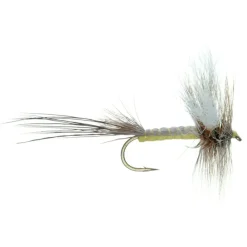 Shop All^ Hex Spinner - Your Premium Fishing Gear Store Rods Lines Baits Accessories