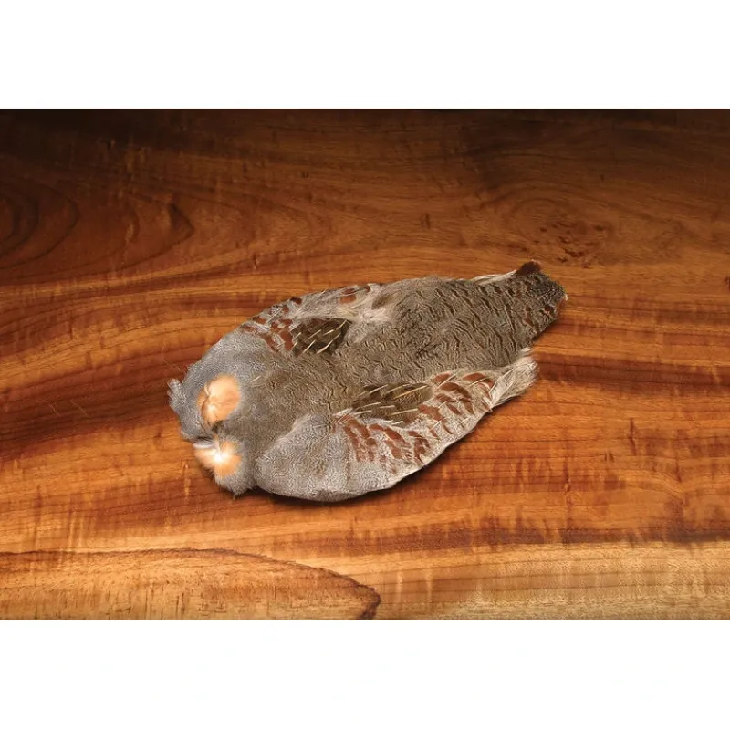 Fly Fishing^ Hungarian Partridge Skin #1 - Your Premium Fishing Gear Store Rods Lines Baits Accessories