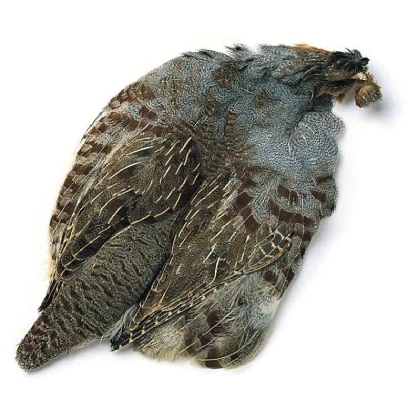 Shop All^ Hungarian Partridge Skins - Your Premium Fishing Gear Store Rods Lines Baits Accessories