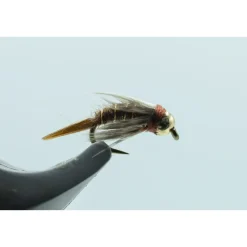 Shop All^ King Prince #16 - Your Premium Fishing Gear Store Rods Lines Baits Accessories