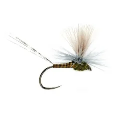 Lexi's Get 'er Dun May - Your Premium Fishing Gear Store Rods Lines Baits Accessories* Online