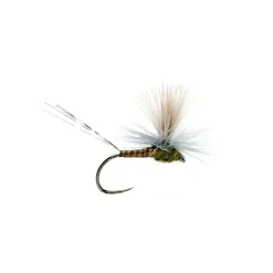 Lexi's Get 'er Dun May BWO Barbless - Your Premium Fishing Gear Store Rods Lines Baits Accessories* Outlet