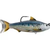 Live Target Common Shiner Swimbait - Your Premium Fishing Gear Store Rods Lines Baits Accessories* Cheap