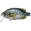 LiveTarget Crappie Flat-Side Shallow Dive Crankbait - Your Premium Fishing Gear Store Rods Lines Baits Accessories* Sale