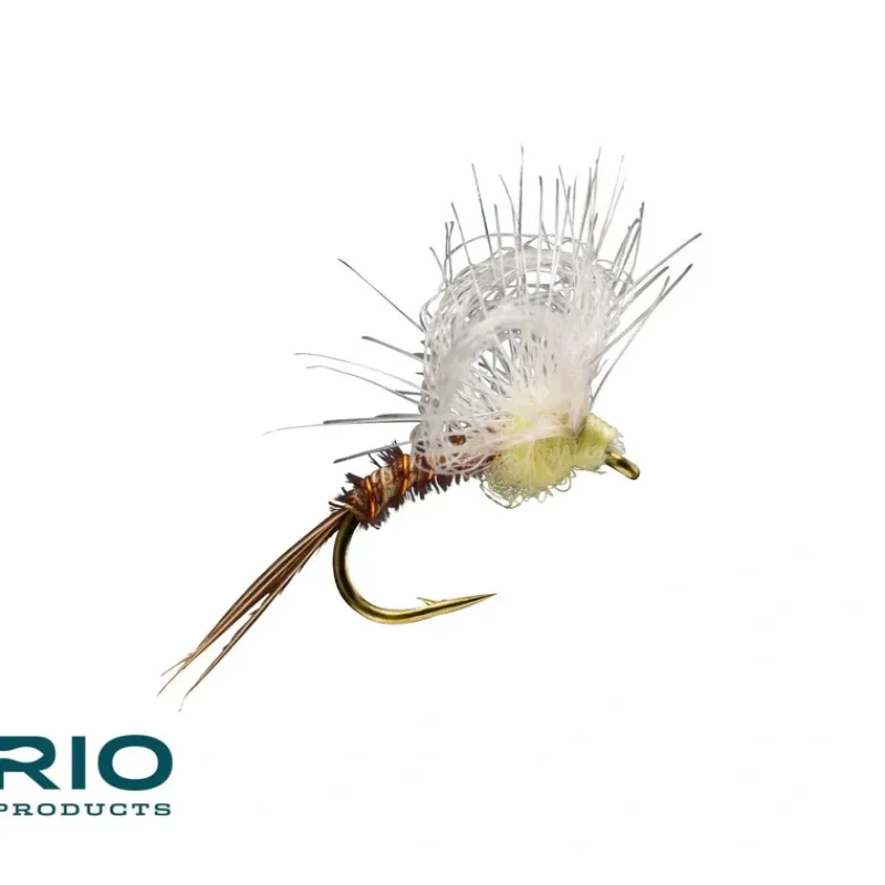 Loop Wing PMD - Your Premium Fishing Gear Store Rods Lines Baits Accessories* Flash Sale