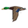 Mallard Sticker - Your Premium Fishing Gear Store Rods Lines Baits Accessories* Clearance