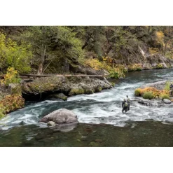 McCloud River Fly Selection - Your Premium Fishing Gear Store Rods Lines Baits Accessories* Discount