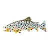 Shop All^ MFC Die Cut Fish Sticker - Maddox's Brown Trout (6in. X 2.25in.) - Your Premium Fishing Gear Store Rods Lines Baits Accessories