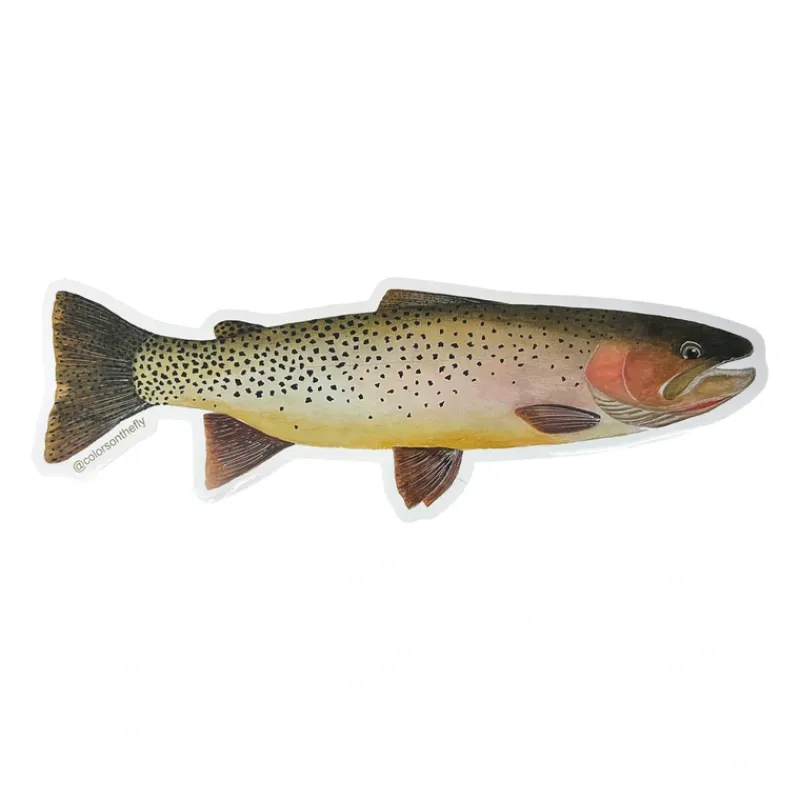 Mike Pepper "Colors on the Fly" 20" Cutthroat Trout Sticker - Your Premium Fishing Gear Store Rods Lines Baits Accessories* Cheap