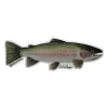 Mike Pepper "Colors on the Fly" 6" Rainbow Trout Sticker - Your Premium Fishing Gear Store Rods Lines Baits Accessories* Outlet