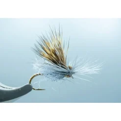 Missing Link Caddis - Your Premium Fishing Gear Store Rods Lines Baits Accessories* Best Sale