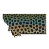 Montana Brown Trout Sticker - Your Premium Fishing Gear Store Rods Lines Baits Accessories* Discount