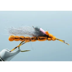 Morningwood Special #4 - Your Premium Fishing Gear Store Rods Lines Baits Accessories* Sale