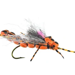 Morningwood Special - Your Premium Fishing Gear Store Rods Lines Baits Accessories* New