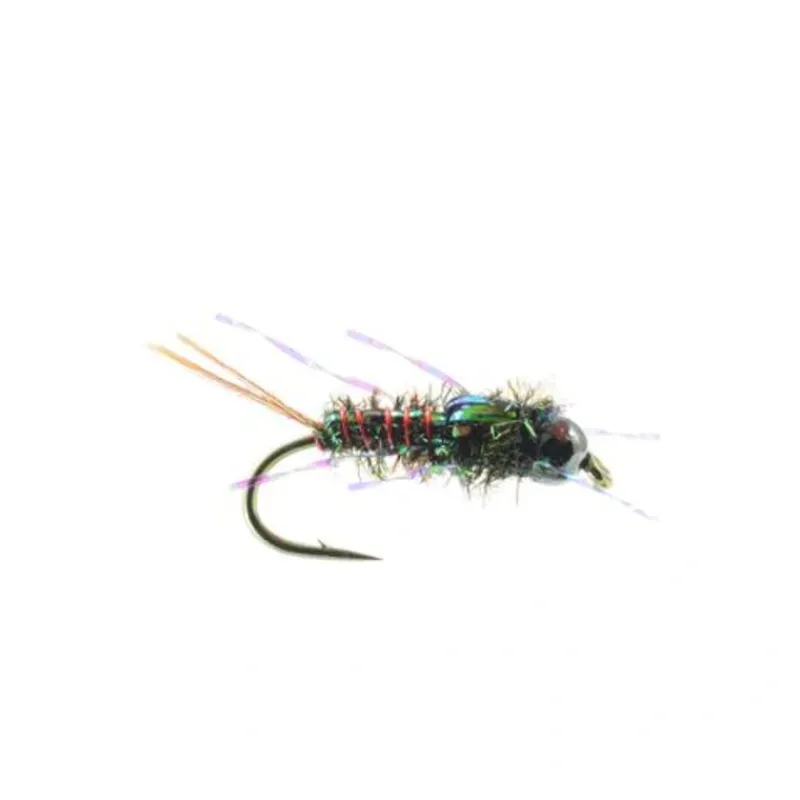 Morrish's Anato-May - Peacock - Your Premium Fishing Gear Store Rods Lines Baits Accessories* Fashion
