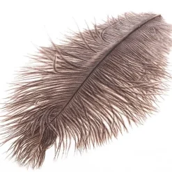 Ostrich Herl - Your Premium Fishing Gear Store Rods Lines Baits Accessories* Outlet