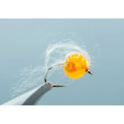 Otter's Embryo Egg Apricot #12 - Your Premium Fishing Gear Store Rods Lines Baits Accessories* New