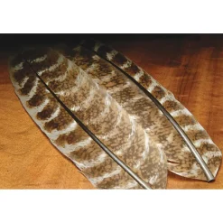 Ozark Oak Mottled Turkey Quills - Your Premium Fishing Gear Store Rods Lines Baits Accessories* Cheap