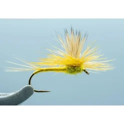 Parachute Daze PMD #14 - Your Premium Fishing Gear Store Rods Lines Baits Accessories* Best