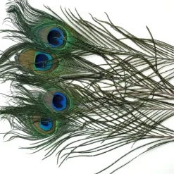 PEACOCK EYES - Your Premium Fishing Gear Store Rods Lines Baits Accessories* Best Sale
