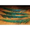 Peacock Sword-4 Pack - Your Premium Fishing Gear Store Rods Lines Baits Accessories* Hot